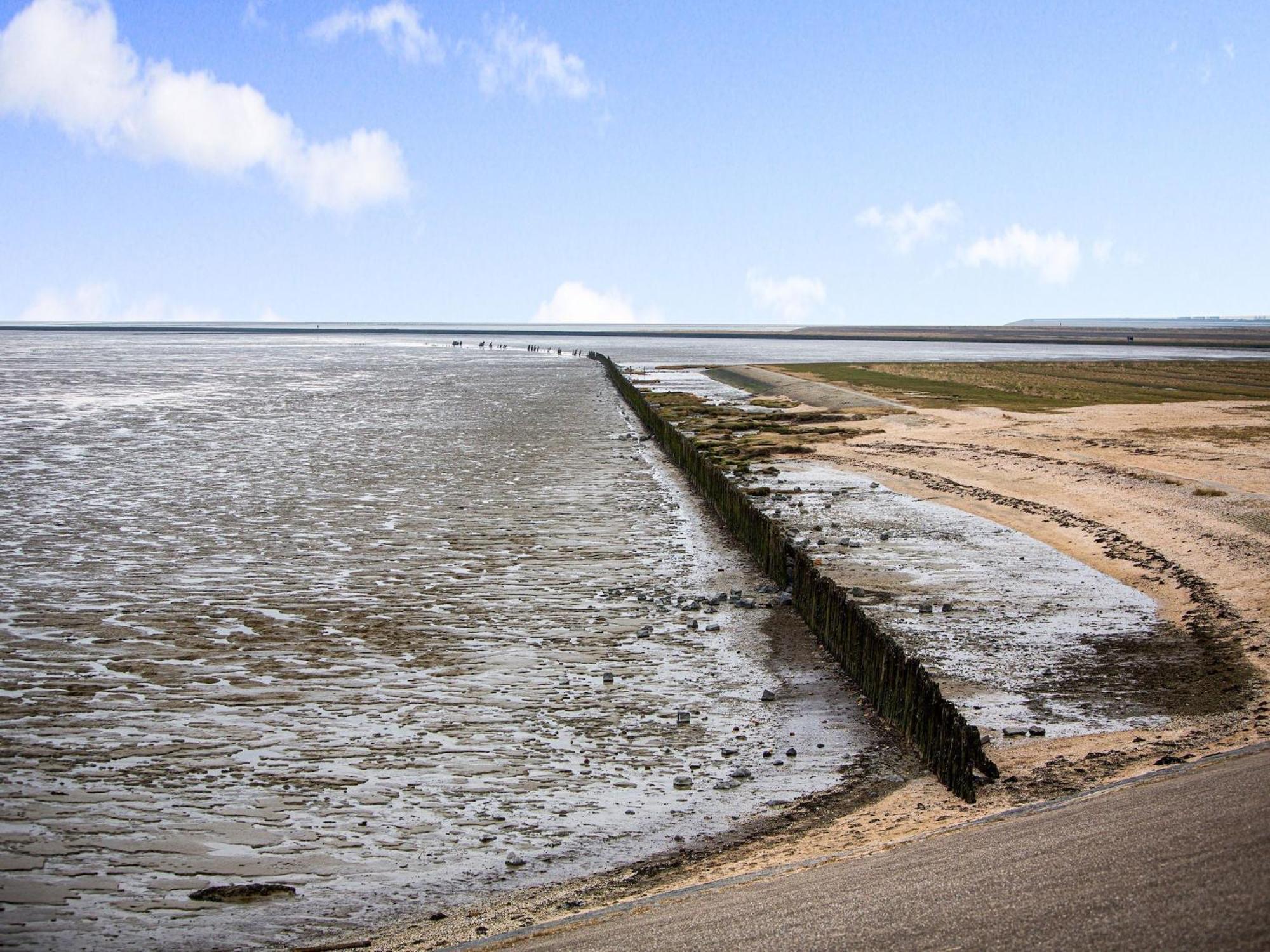 Fantastic Luxury Vacation Home And Next To The Wadden Sea Paesens 외부 사진