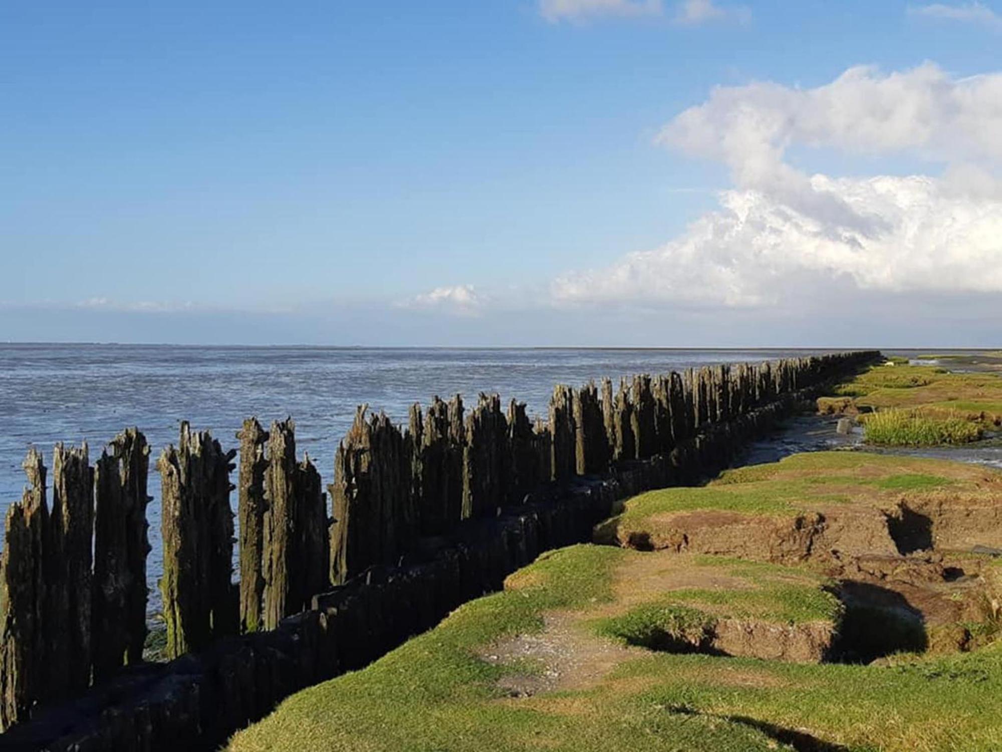 Fantastic Luxury Vacation Home And Next To The Wadden Sea Paesens 외부 사진